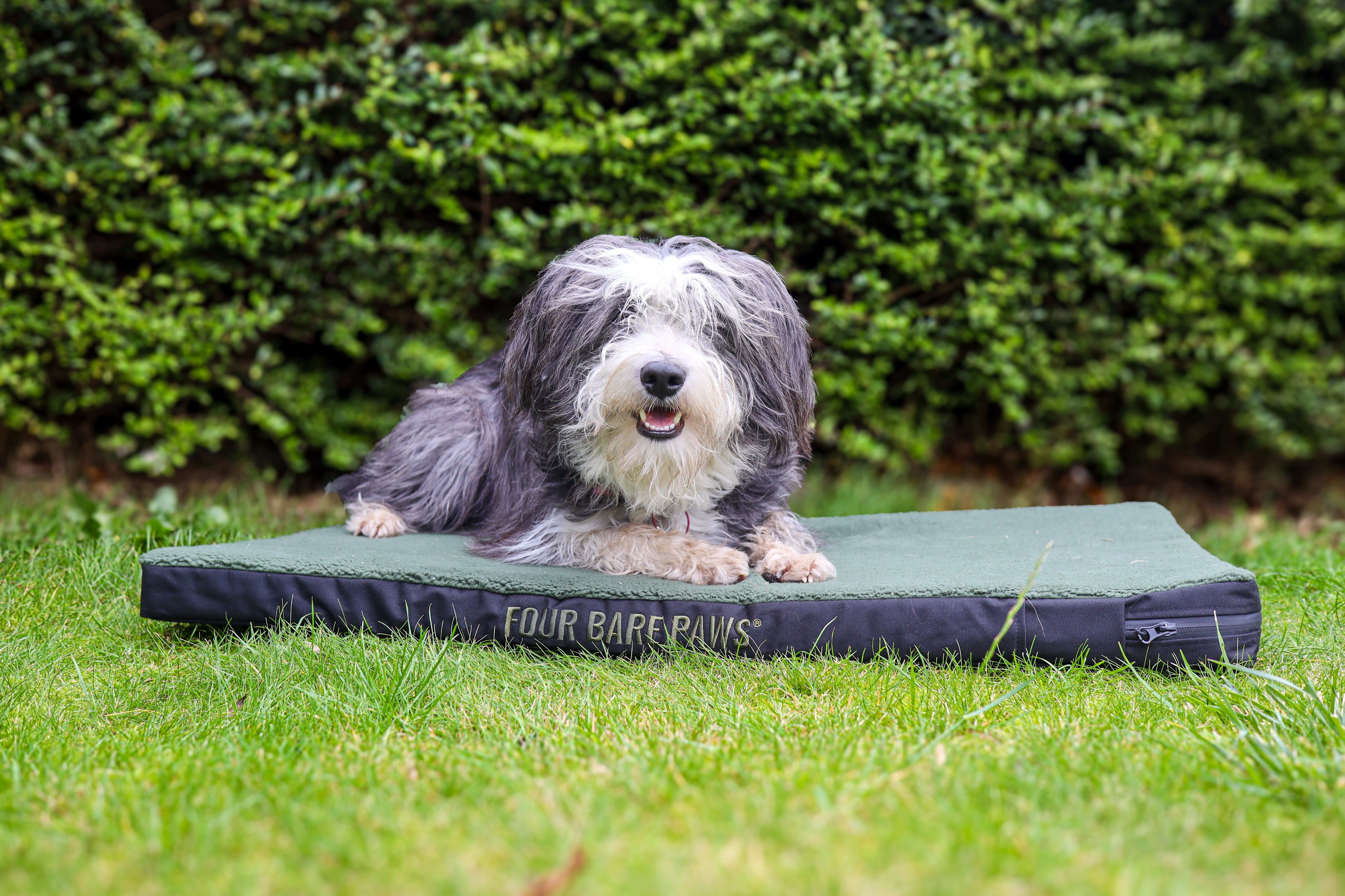 Keeping Your Dog Comfortable on Long Car Rides