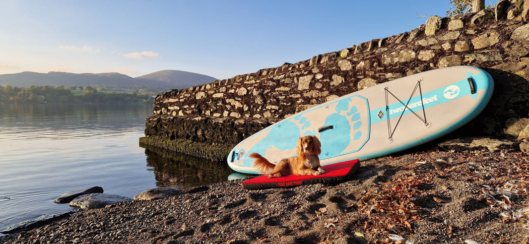 Travel-Friendly Dog Beds for Adventurous Pets