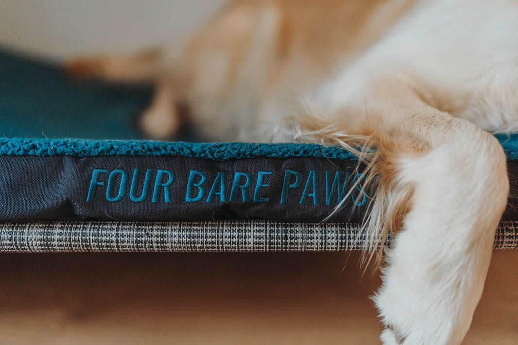 Why Quality Sleep Matters More for Dogs During Summer