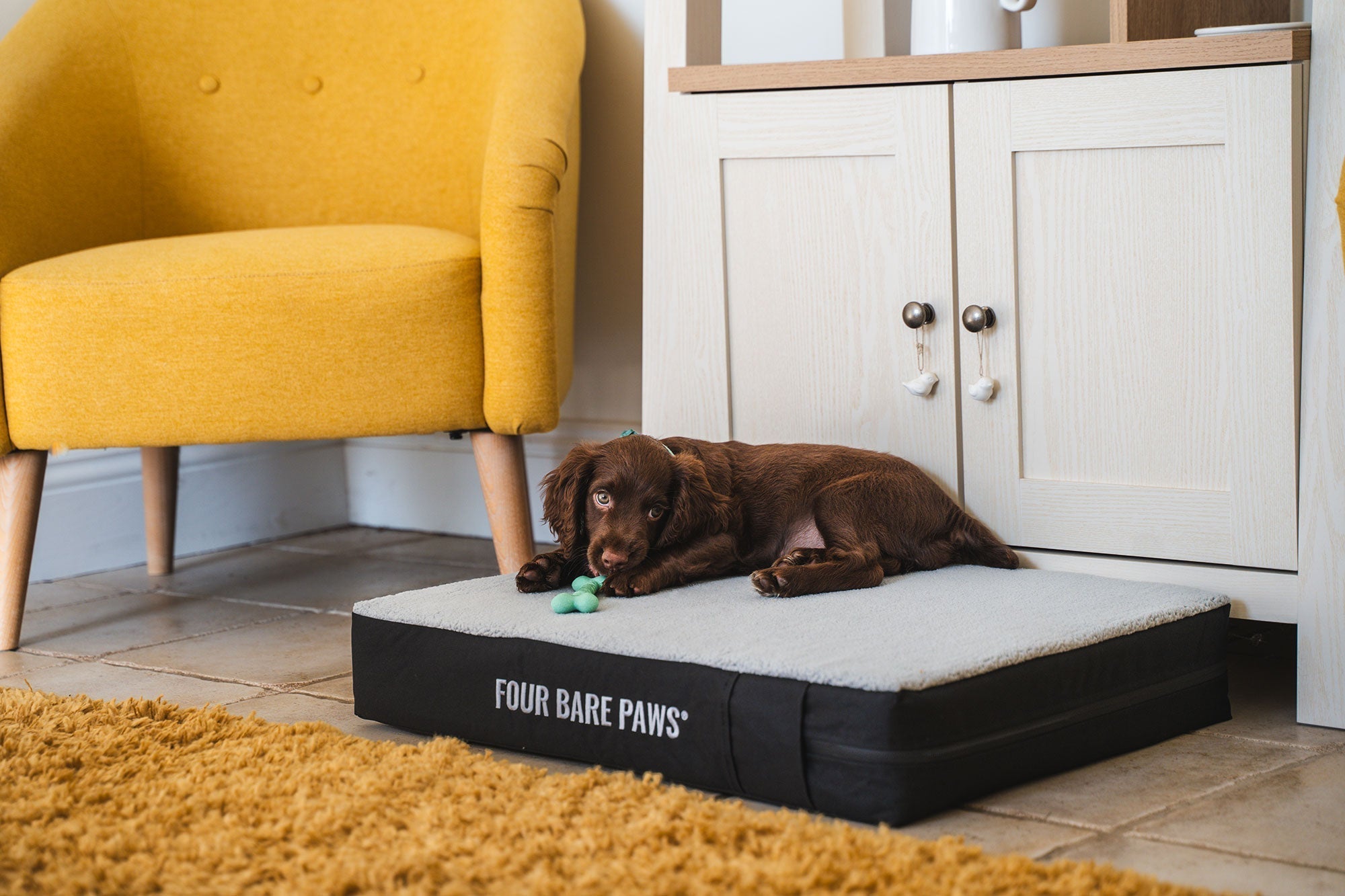 How to Keep Your Dog Cool While Sleeping This Summer