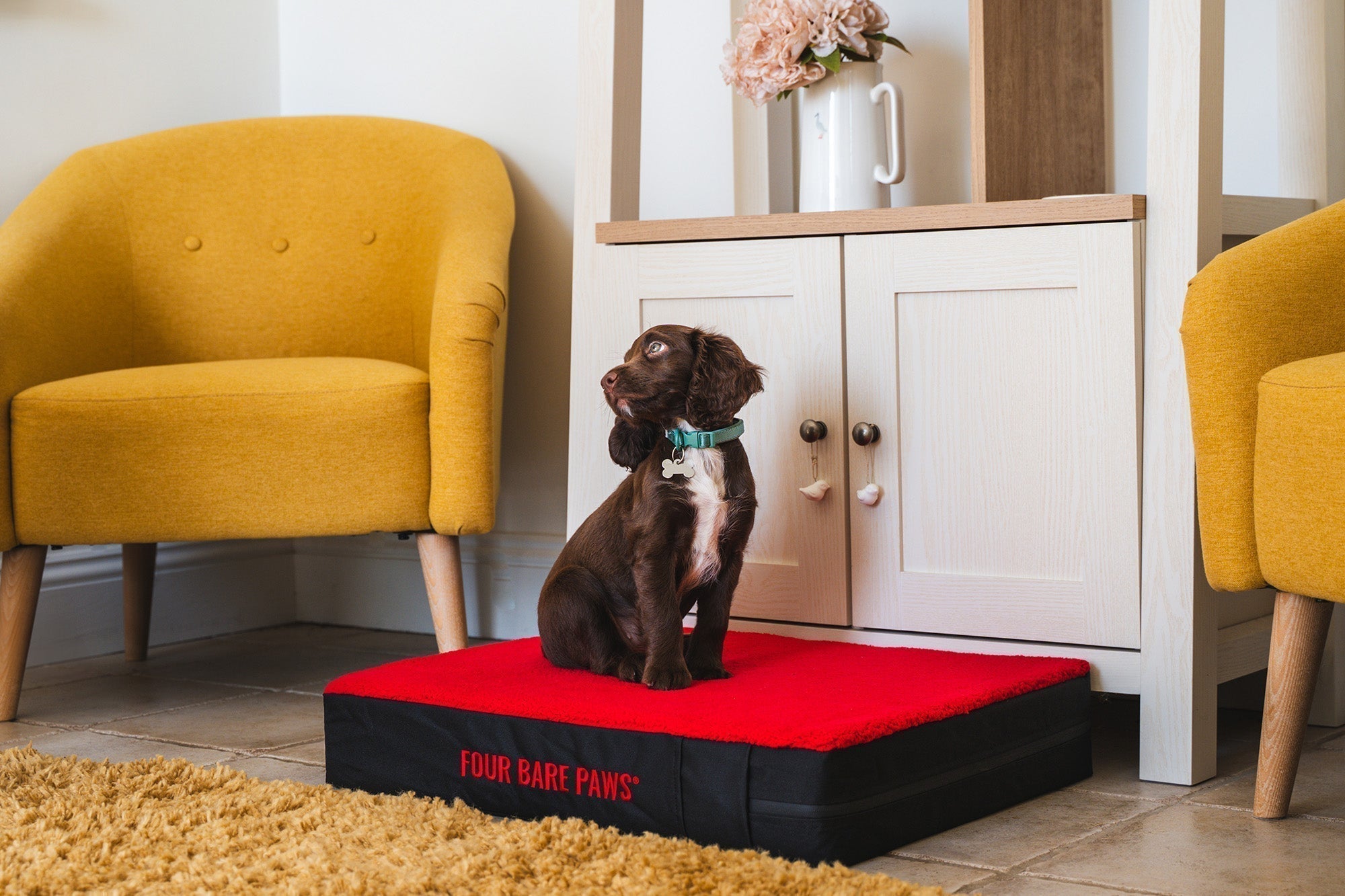 How to Keep Your Dog Bed Clean and Odour-Free