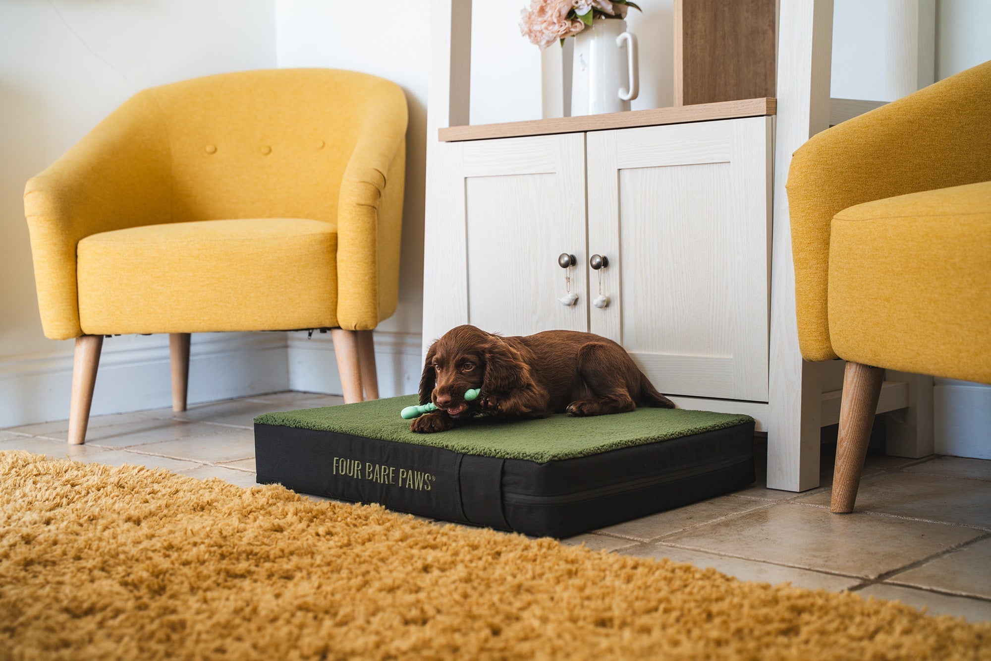 7 Indoor Games for Dogs When It’s Too Hot Outside