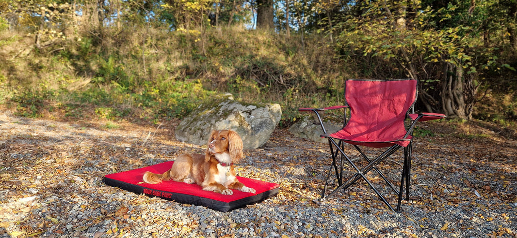 Dog on Four Bare Paws dog bed on a pebbled beach next to a camping chair
