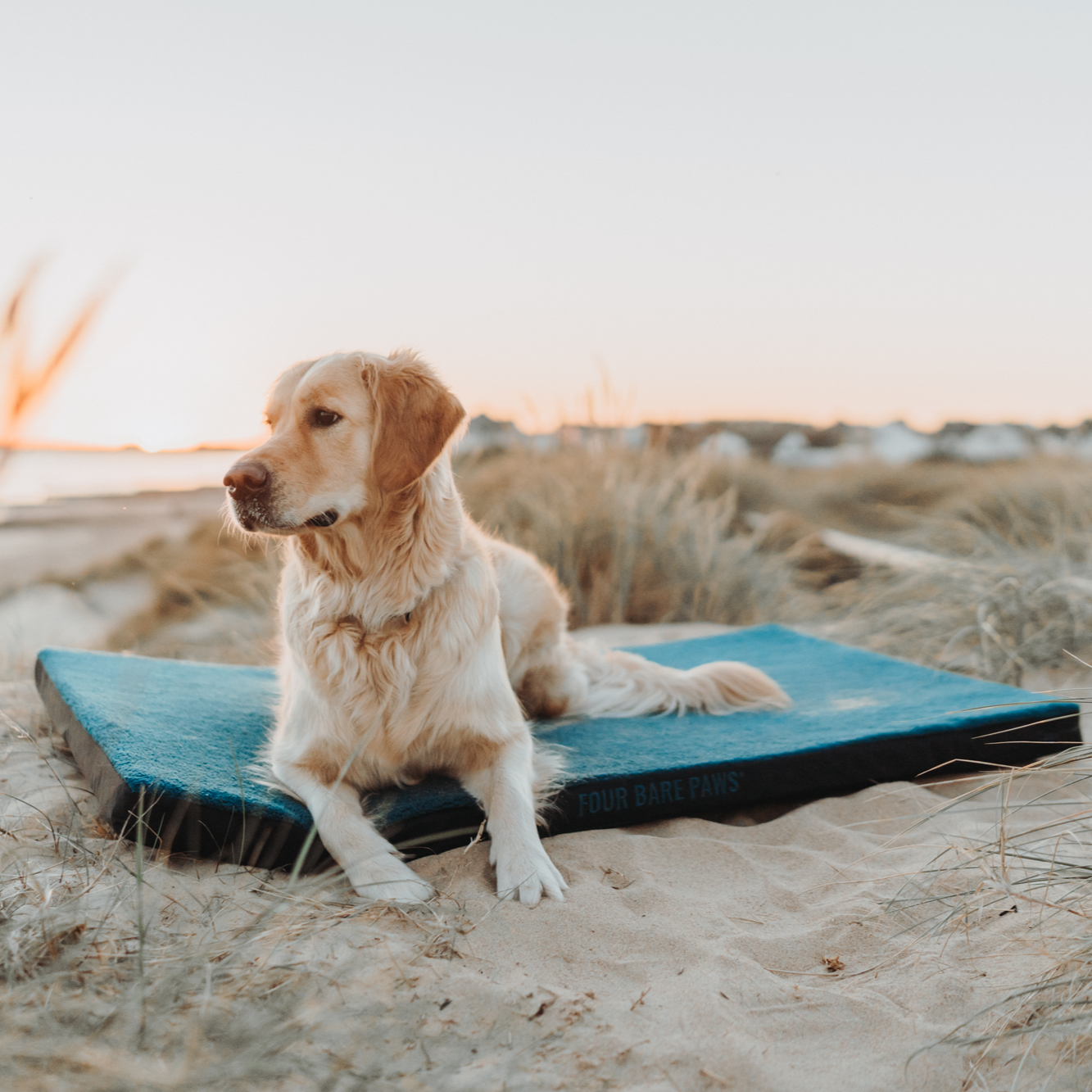 Sherpa Lined Dog Bed (Replacement Cover Only) In Sea Green