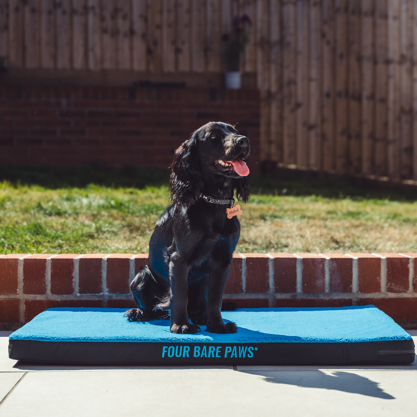 Sherpa Lined Dog Bed Mattress In Blue
