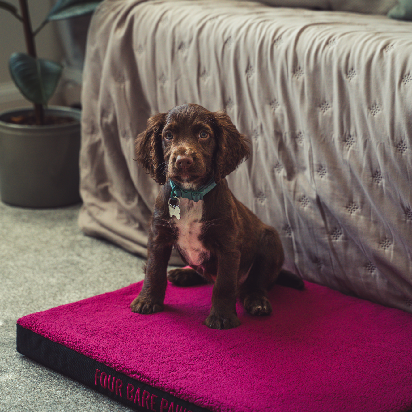 Sherpa Lined Dog Bed Mattress In Raspberry