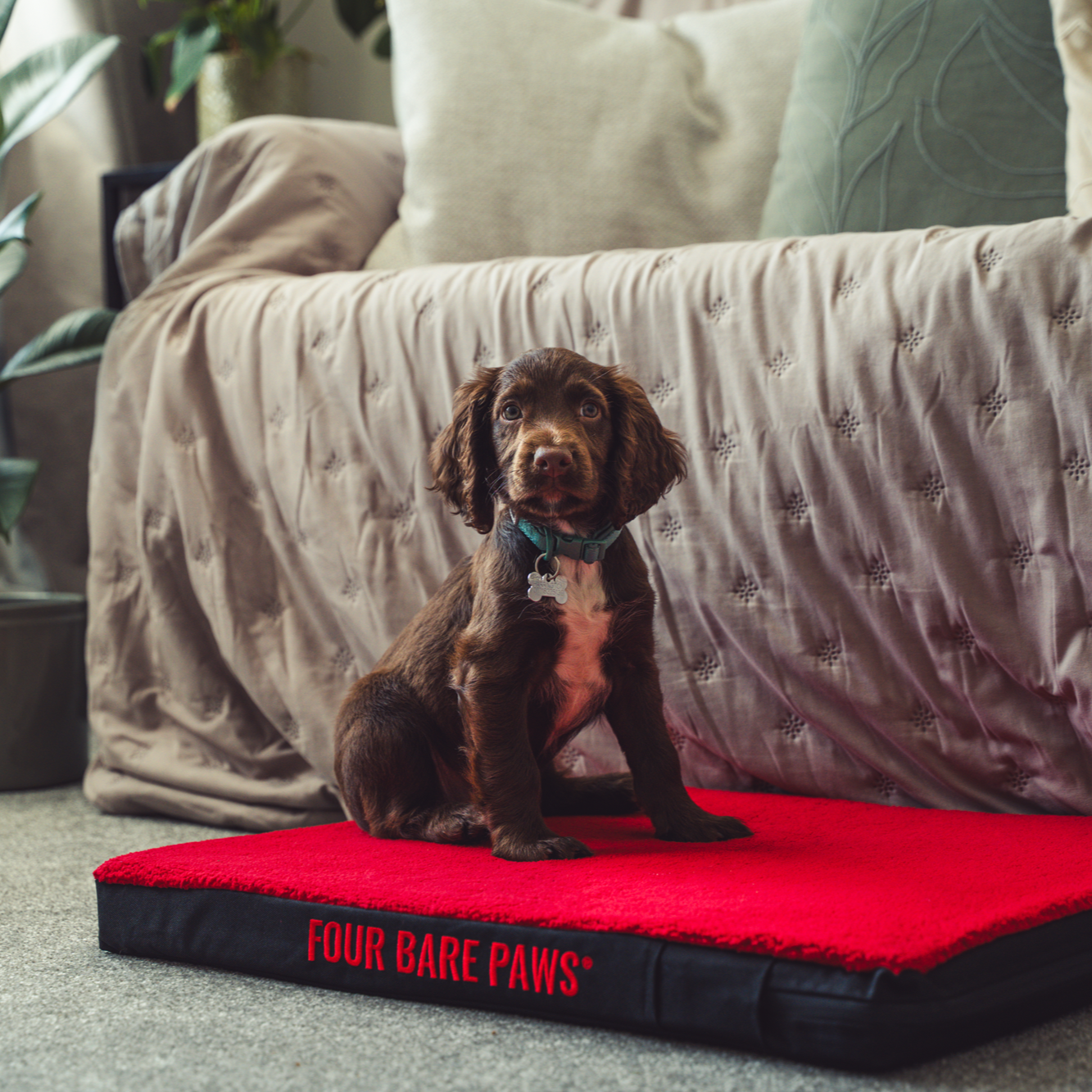 Sherpa Lined Dog Bed (Replacement Cover Only) In Red
