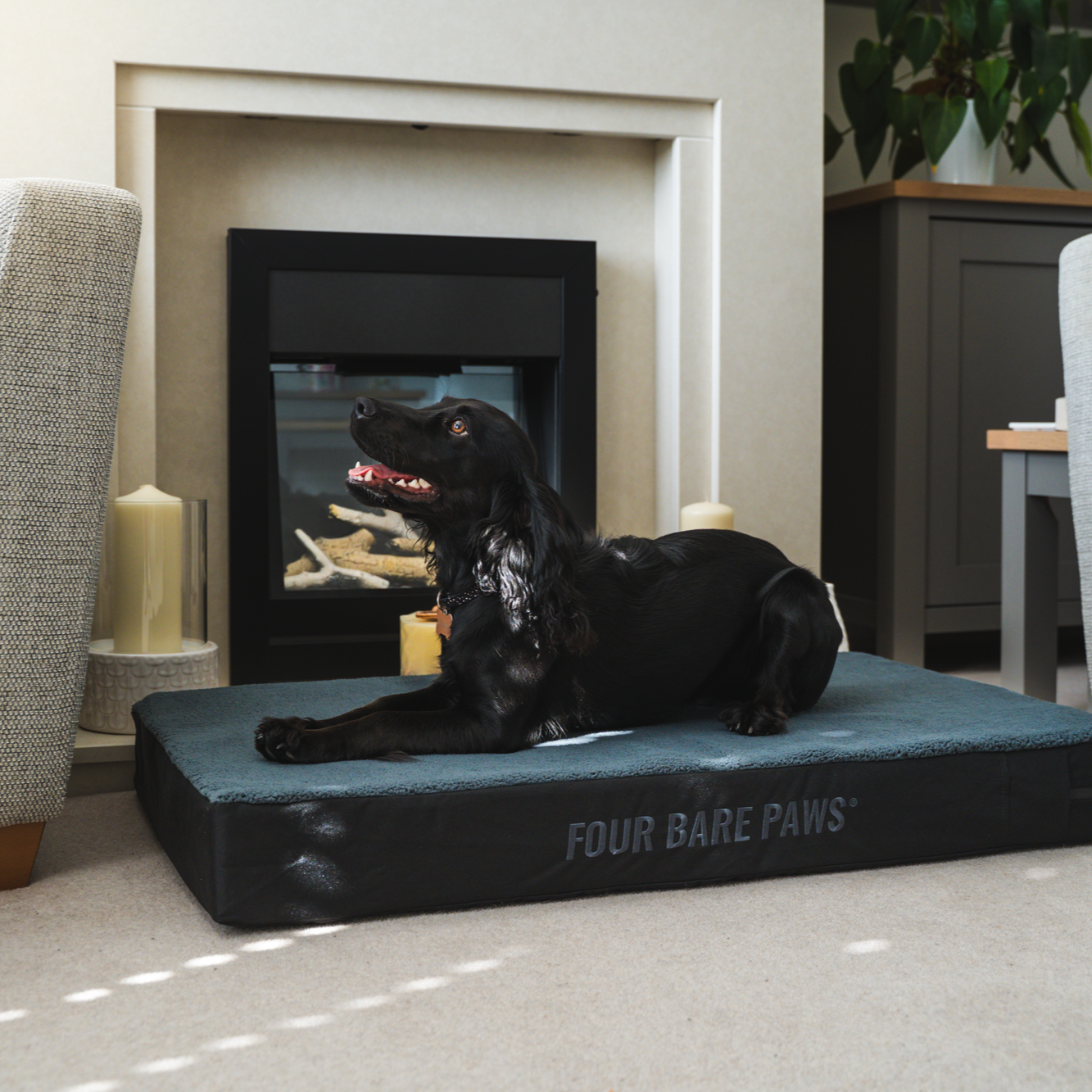 Sherpa Lined Dog Bed Mattress In Charcoal
