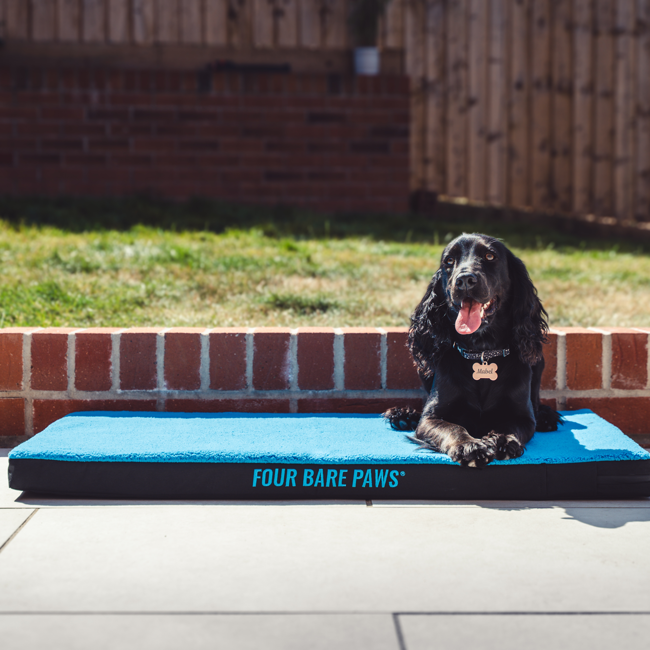 Sherpa Lined Dog Bed (Replacement Cover Only) In Blue