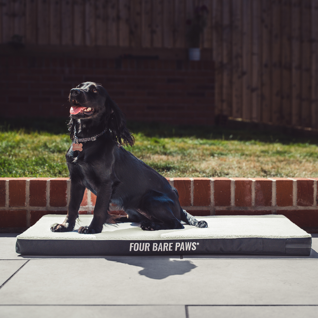 Sherpa Lined Dog Bed Mattress In Cream