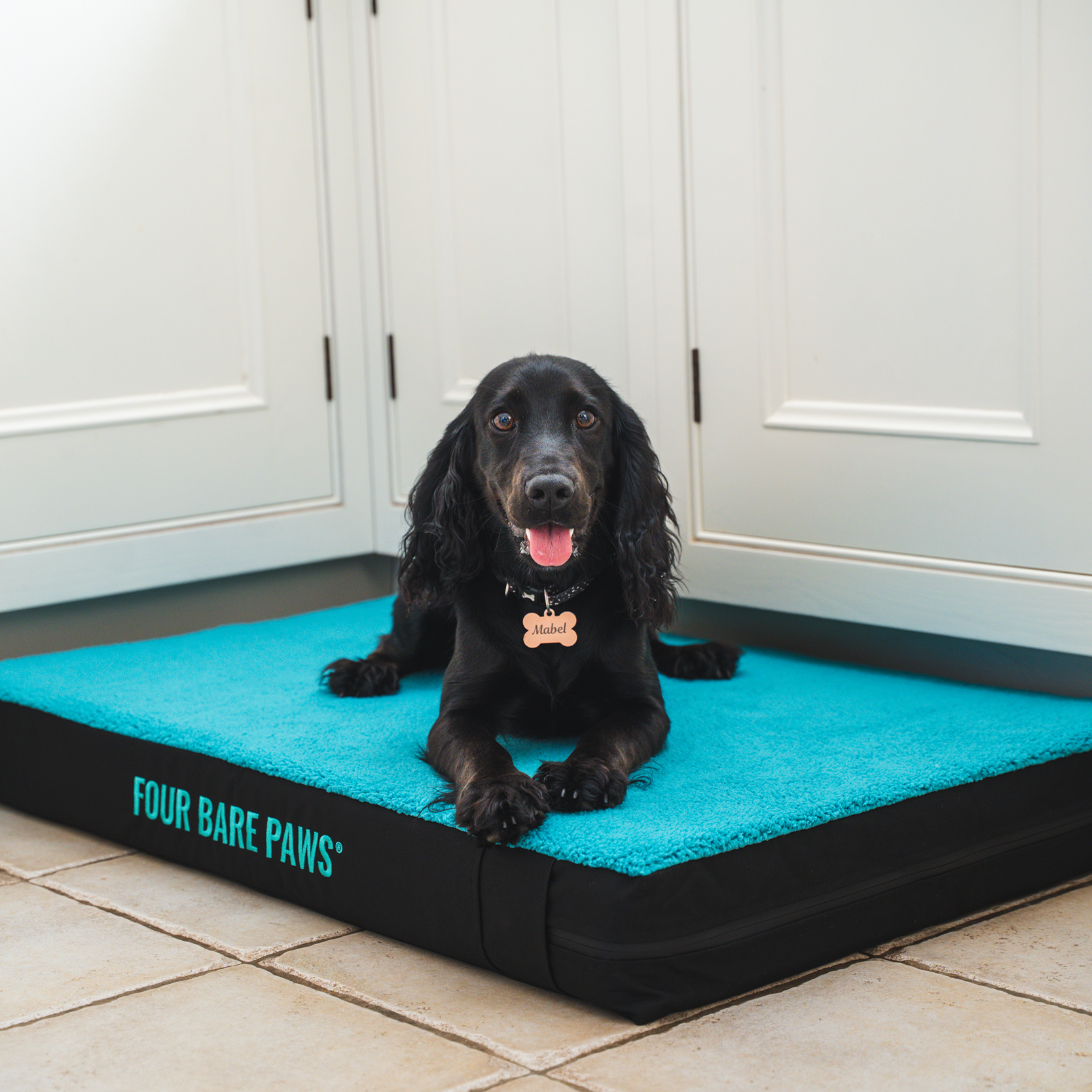 Sherpa Lined Dog Bed (Replacement Cover Only) In Teal